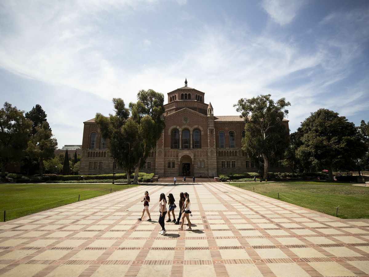 Foto: Campus de UCLA en Los Ángeles. (EFE/Etienne Laurent)