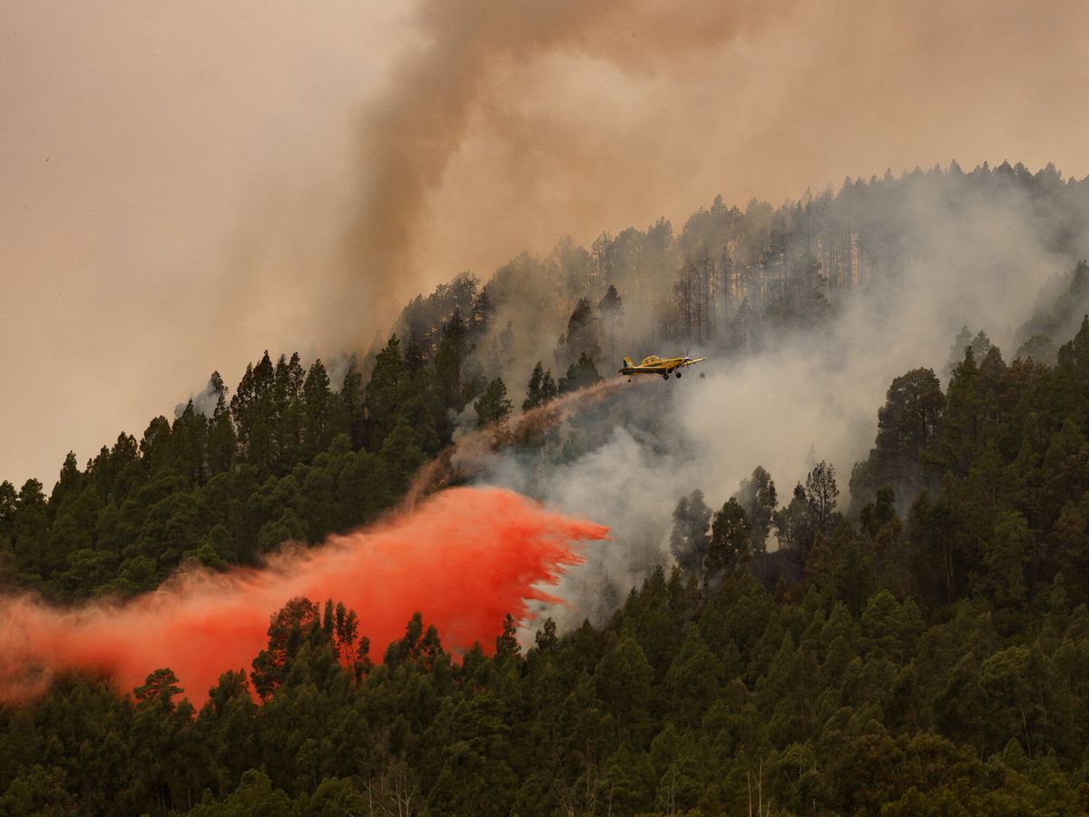 Foto: Un avión participa en las labores de extinción del incendio forestal en el municipio tinerfeño de El Rosario. (EFE/Ramón de la Rocha)