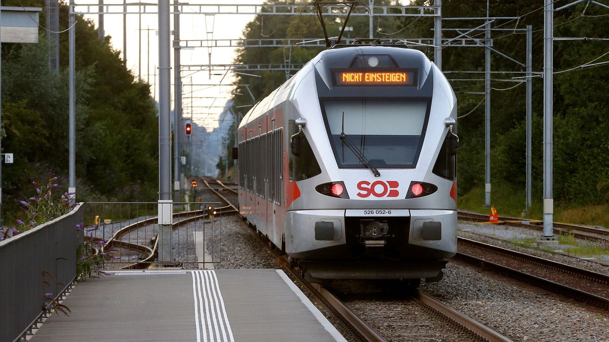 Seis heridos en un ataque a los pasajeros de un tren en Suiza