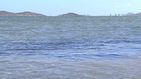 Una 'sopa verde' de desechos y vertidos: así es el Mar Menor donde los bañistas no pueden aliviar su calor