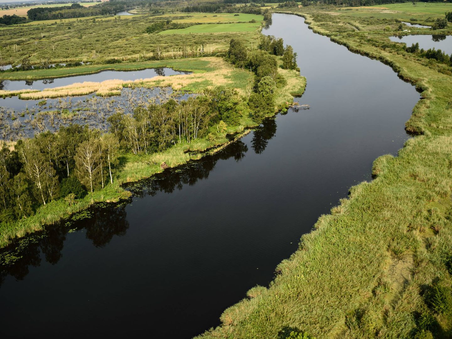 Río Peene y tierras inundadas cerca de Anklamer Stadtbruch (Solvin Zankl / Rewilding Europe)