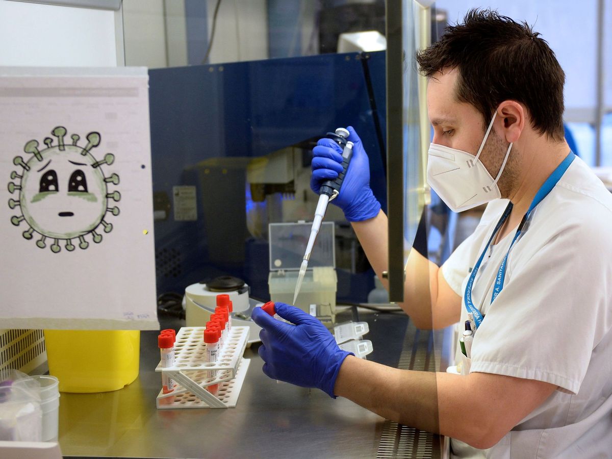 Foto: Un técnico de laboratorio analiza pruebas PCR. (EFE)