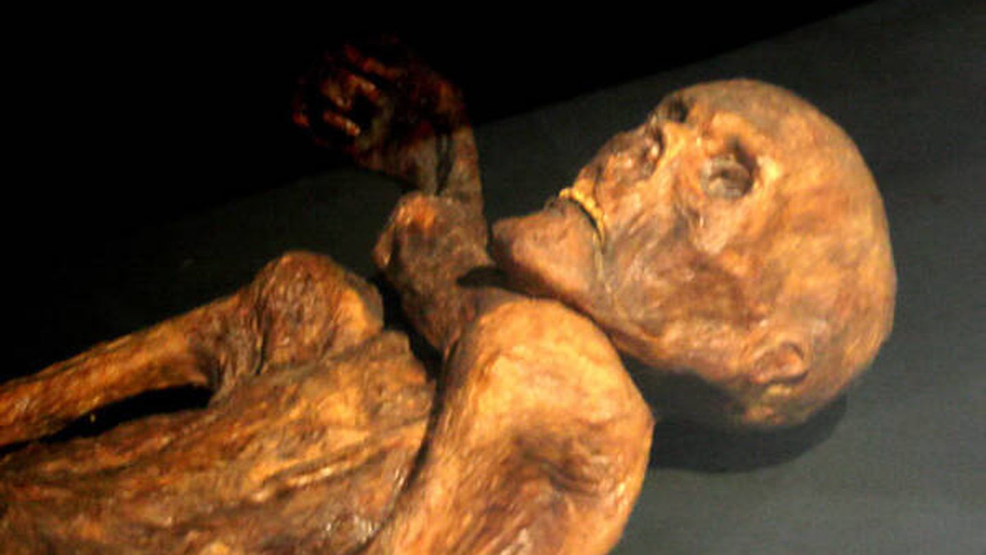 La momia natural de Otzi the Iceman, descubierta en un paso alpino en 1991. - Wikipedia