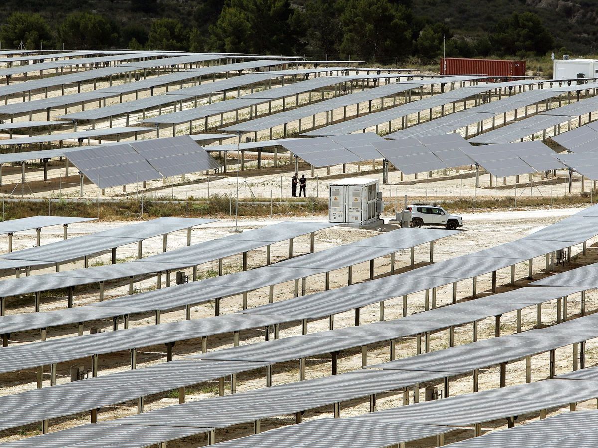 Foto: Planta solar en Alicante. (EFE)