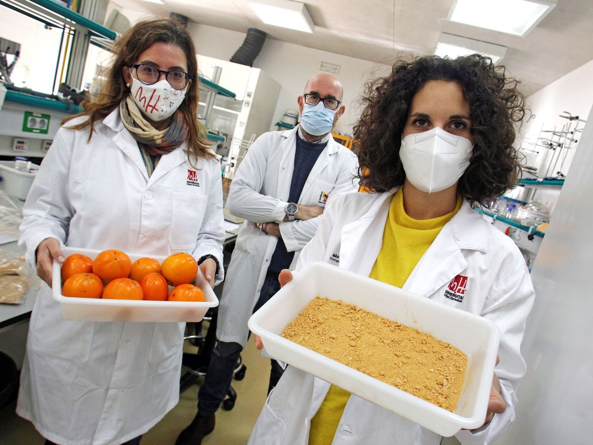 Foto: Nace la harina de caqui: un ingrediente saludable para la industria alimentaria. (EFE/Morell)