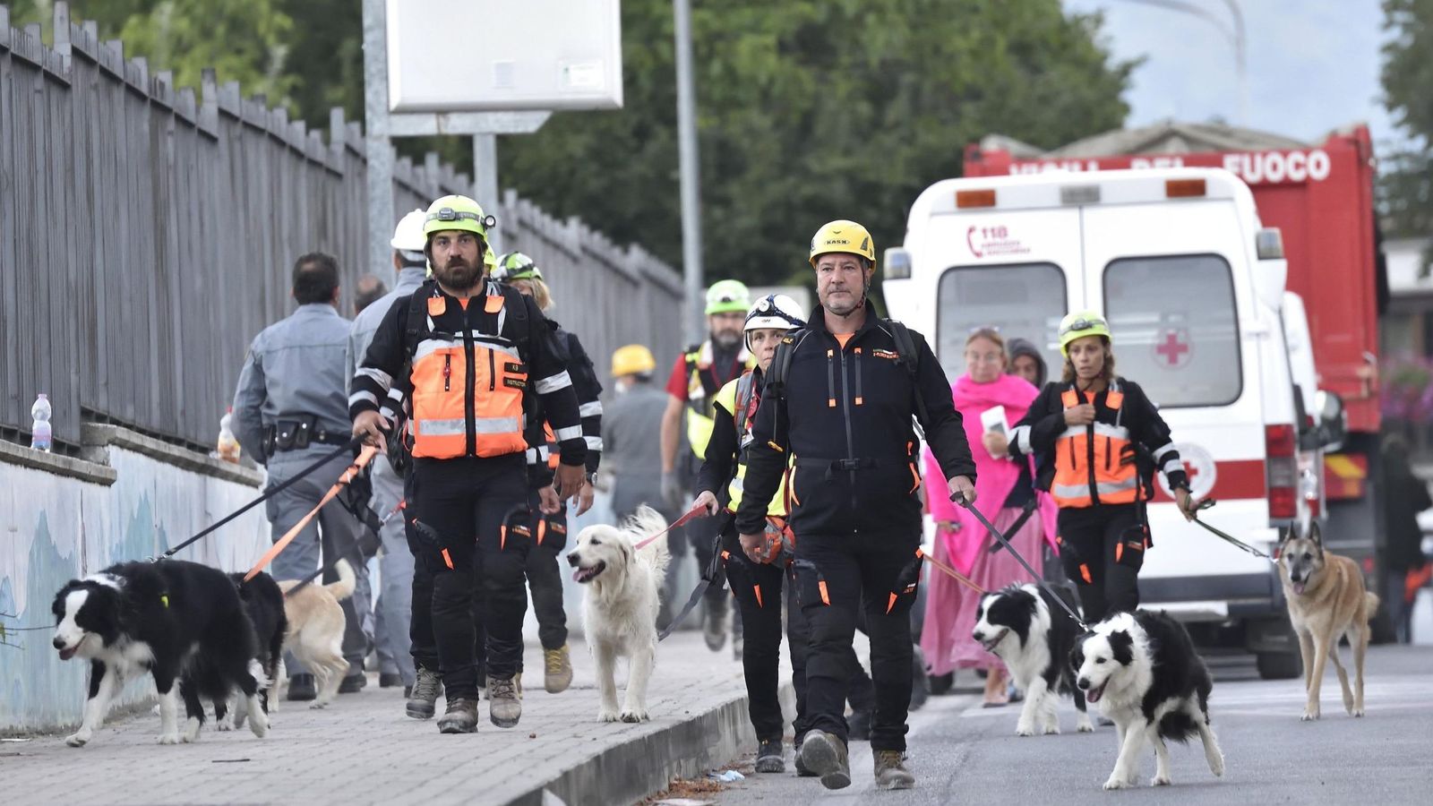 Foto: Miembros de los servicios de rescate y perros rastreadores llegan para ayudar en la búsqueda de víctimas, un día después del terremoto, en Amatrice. (EFE)