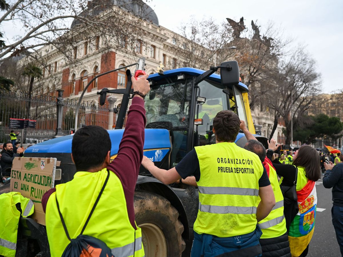 Foto: Agricultores de la protesta del campo español en Madrid este miércoles. (EFE/FERNANDO VILLAR)