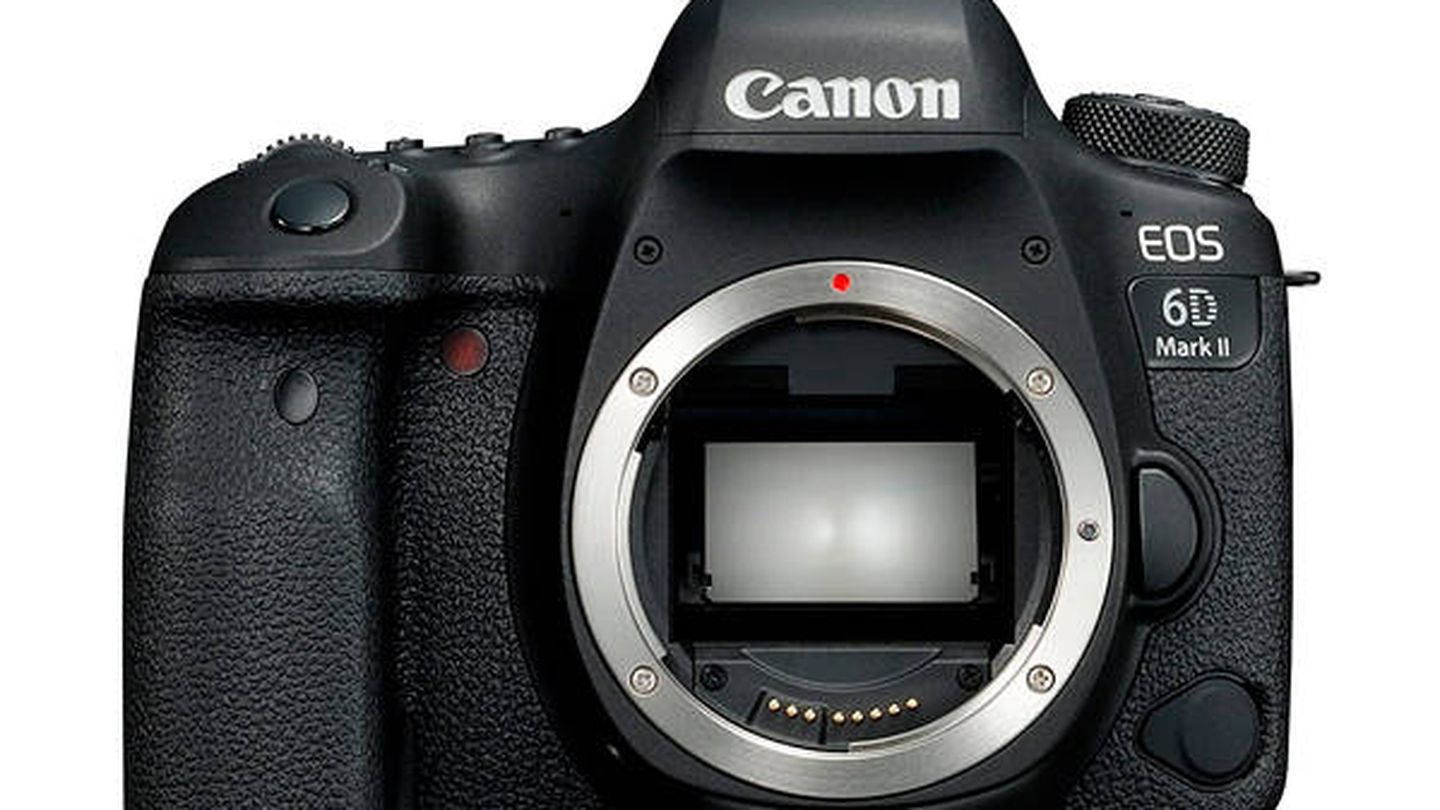Mus Disparity Consecutive Las mejores cámaras réflex del mercado para hacer fotos de calidad  profesional