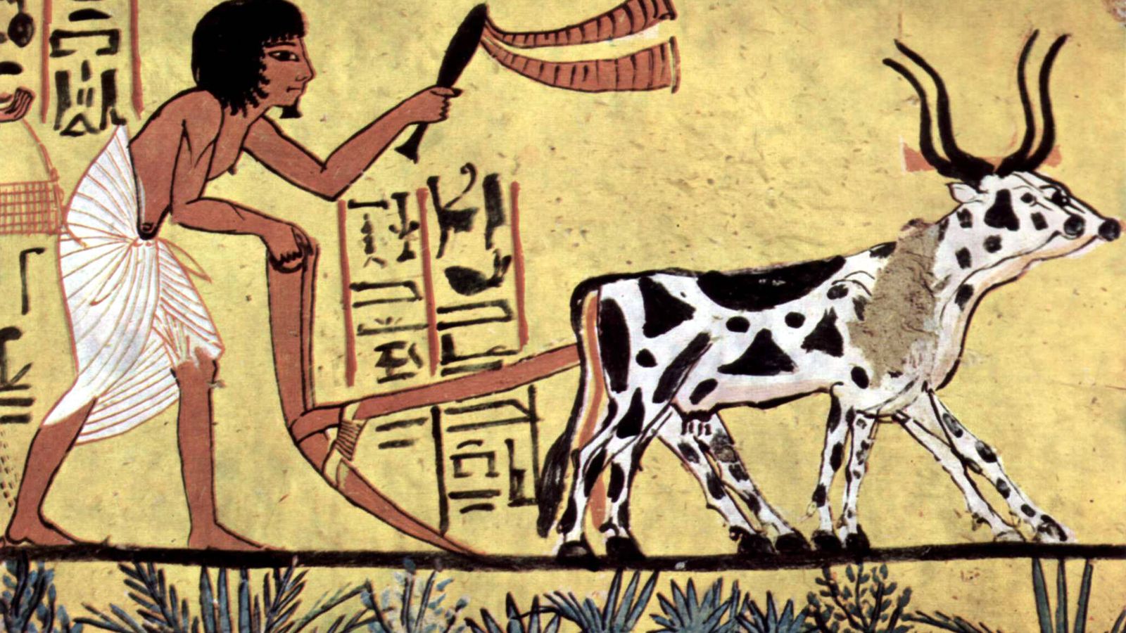 Arando con una yunta de ganado con cuernos en el antiguo Egipto. Pintura de la cámara funeraria de Sennedjem, c. 1200 a.C. (Wikipedia)