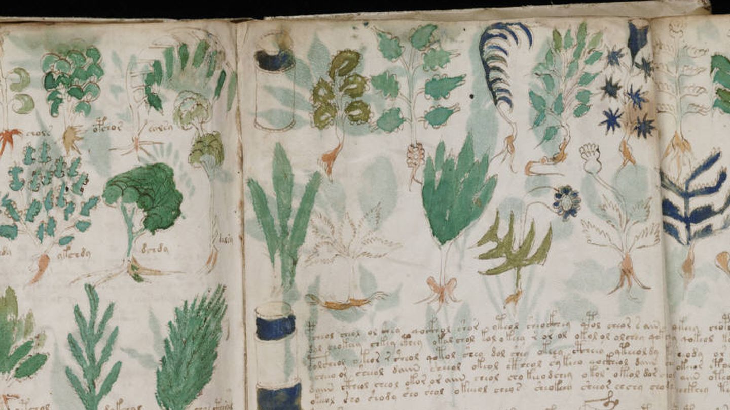 Páginas de la sección de 'farmacología' del manuscrito voynich.