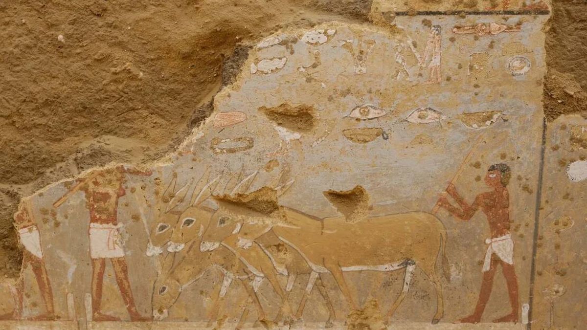 Descubren pinturas de "escenas cotidianas" en una tumba egipcia de hace 4.300 años 