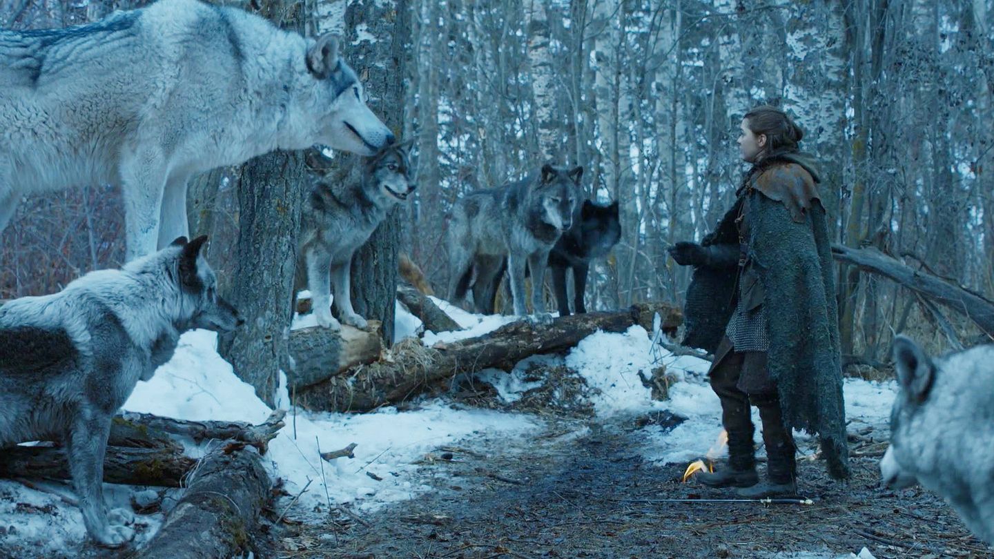 Arya se reencuentra con Nymeria. (HBO)