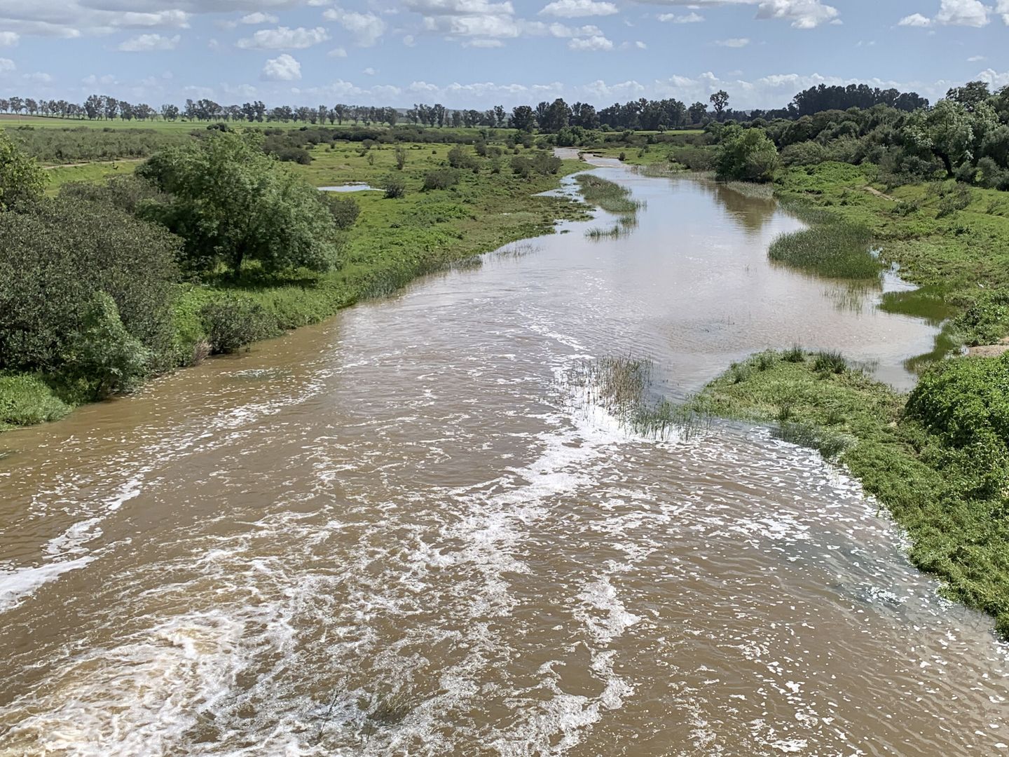 El río Guadiamar vuelve a hidratar Doñana tras las lluvias (EFE/F.Cabanillas) 