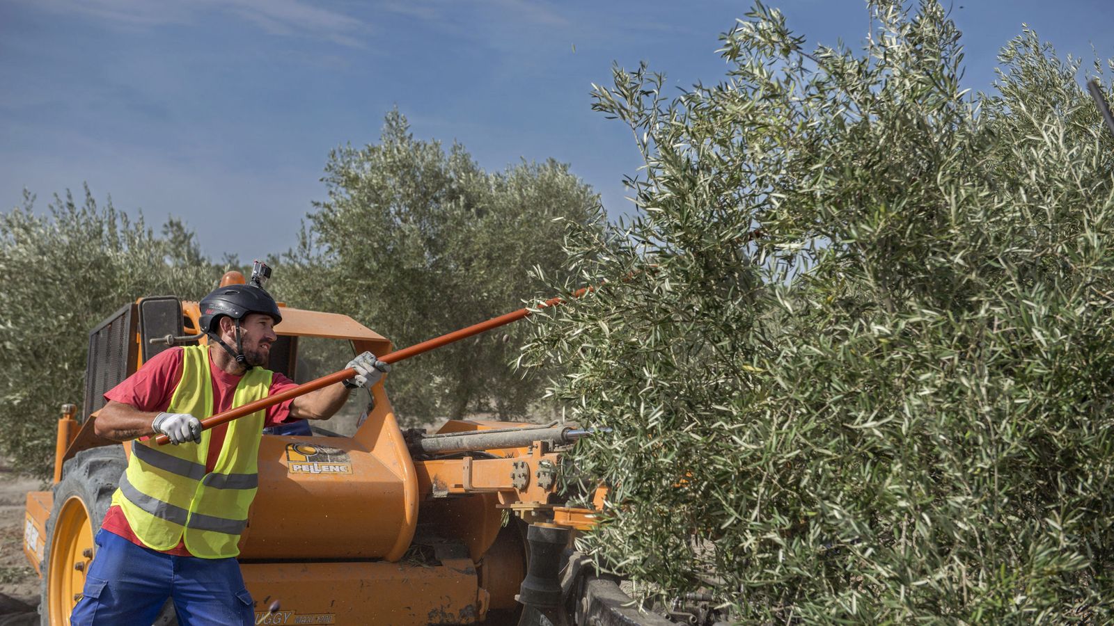 VivaOliva impulsa la agricultura regenerativa en Jaén con la formación de un centenar de agricultores