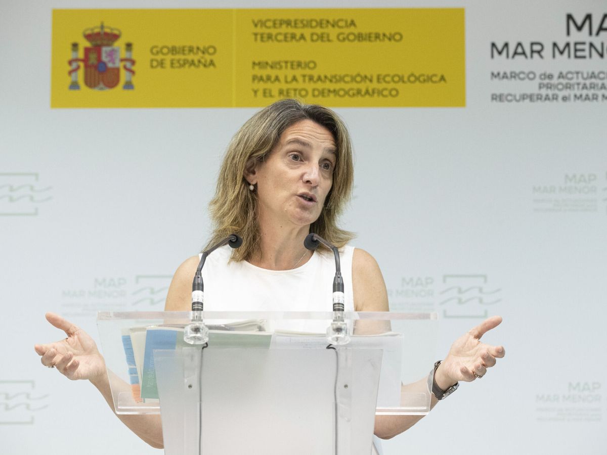 Foto: La vicepresidenta tercera del Gobierno y ministra para la Transición Ecológica, Teresa Ribera. (EFE)