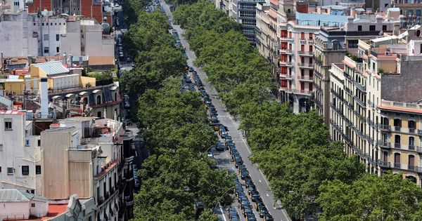 Foto: Vista de la Gran Vía de Barcelona ocupada por los taxistas en huelga. (EFE)