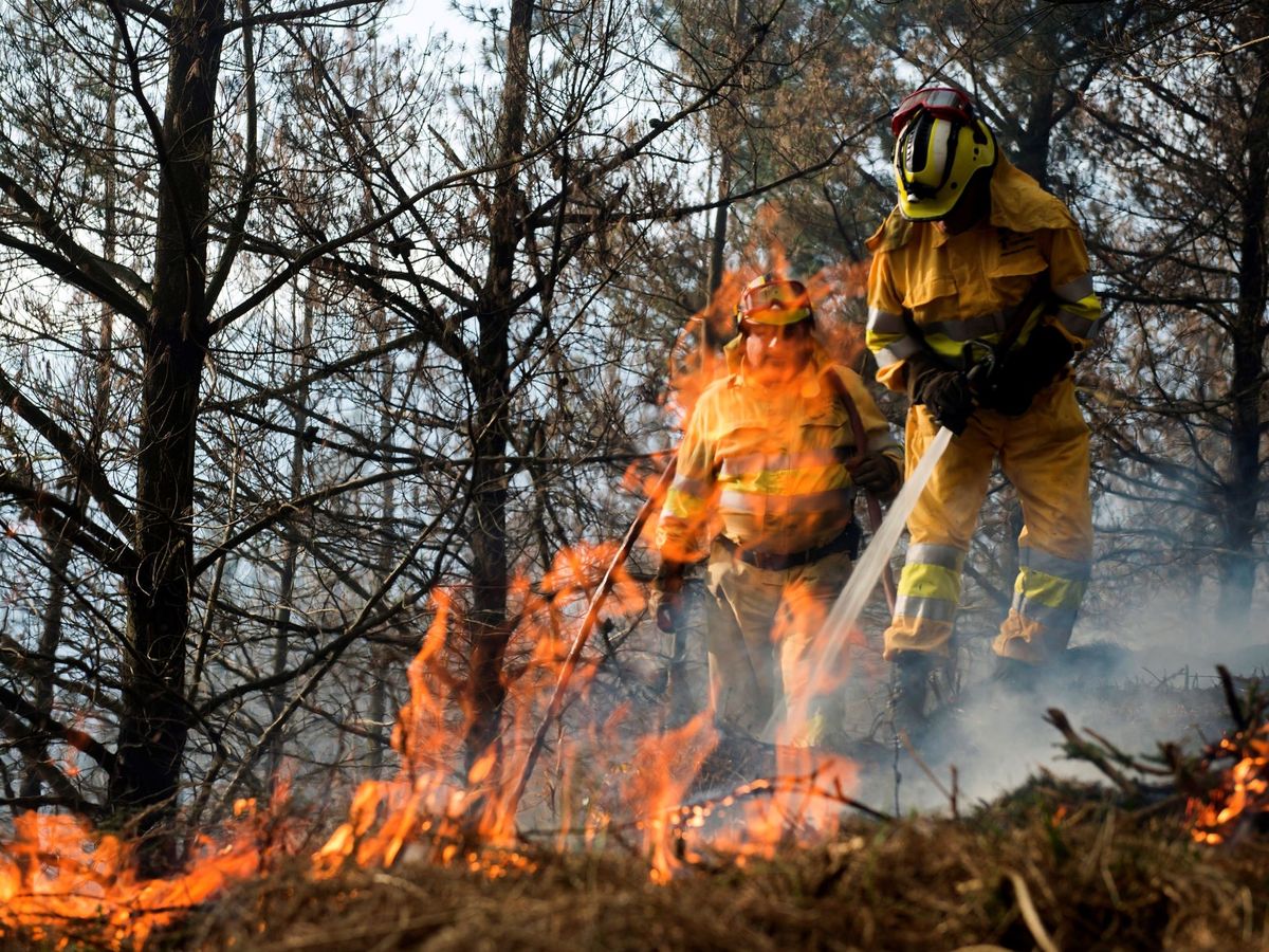 Foto: Agentes de montes de Cantabria apagan un incendio forestal en la localidad cántabra de Vargas. (EFE/Pedro Puente Hoyos)