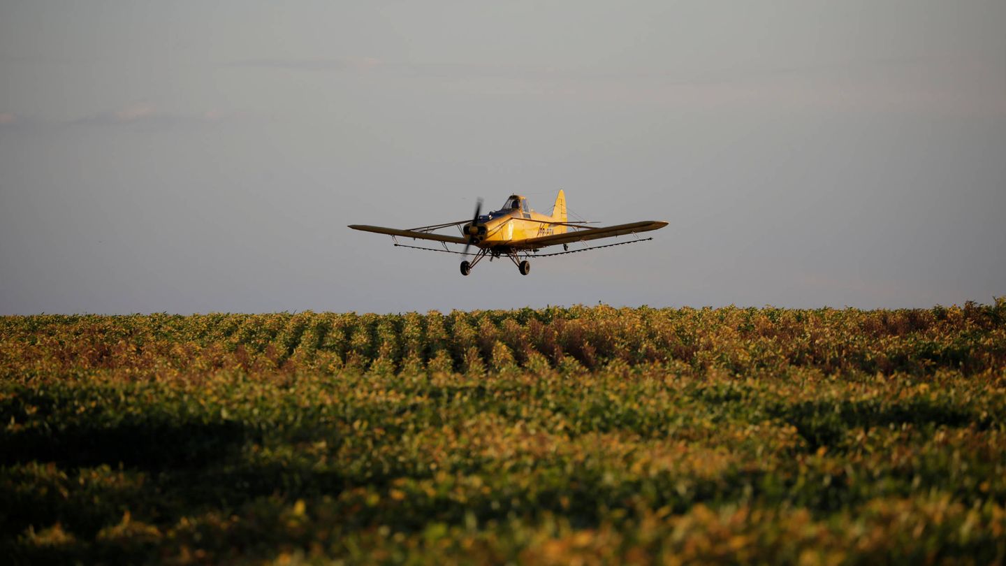 Un avión fumiga unos cultivos cerca de Palmeirante, en Brasil. (Reuters)