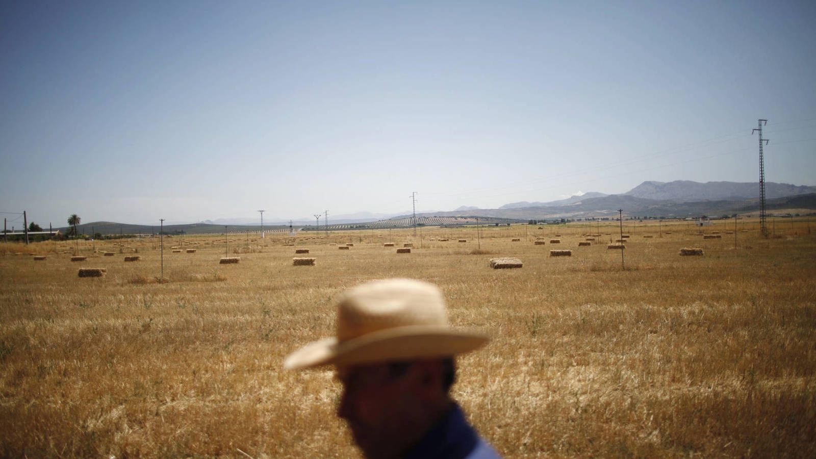 Foto: Un agricultor trabaja el campo en solitario en Antequera. (Reurters)