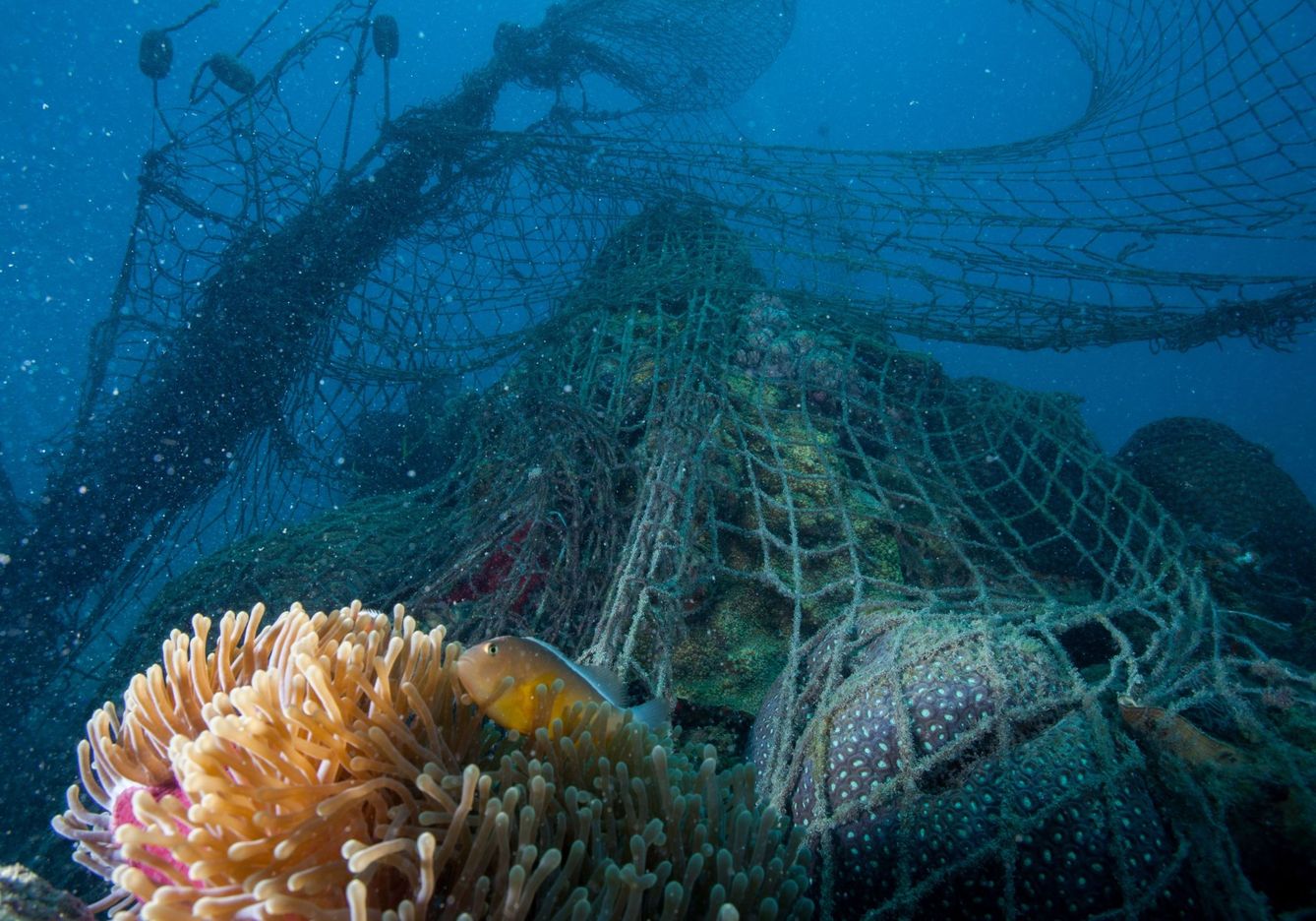 Redes de pesca fantasma en el fondo marino. (EFE)