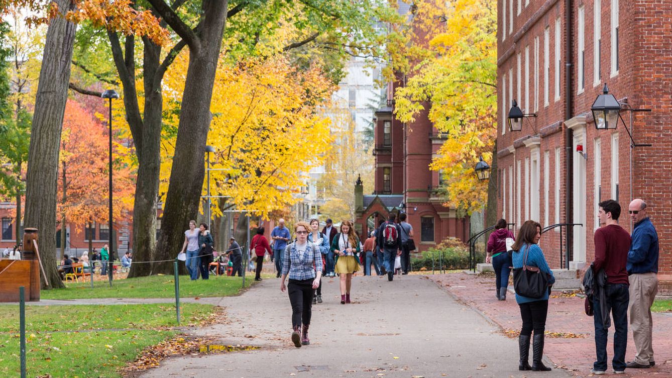 Foto: Un día de otoño cualquiera en la Universidad de Harvard. (iStock)