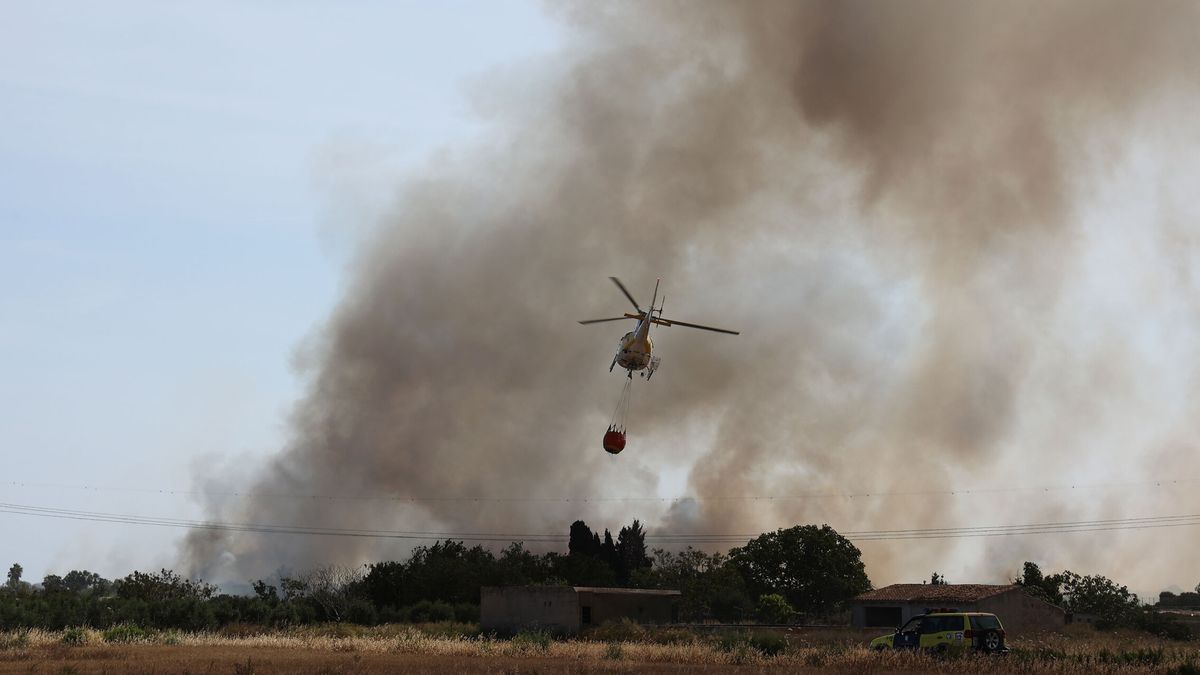 Estabilizado el incendio forestal de s'Albufera tras quemar 50,4 hectáreas y ser desalojadas una decena de casas