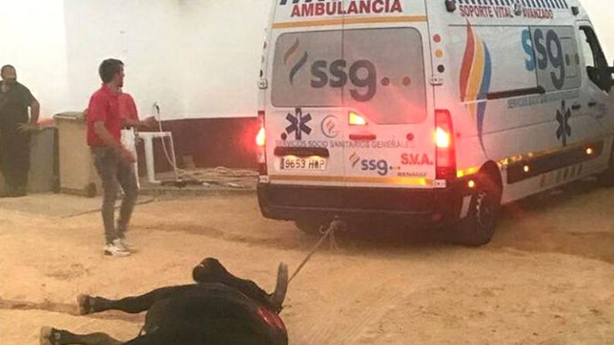 Un toro muerto tiene que ser arrastrado fuera de la plaza por una ambulancia