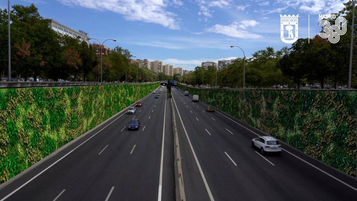 Almeida destinará 30 millones a cubrir con jardines verticales los muros de la M-30