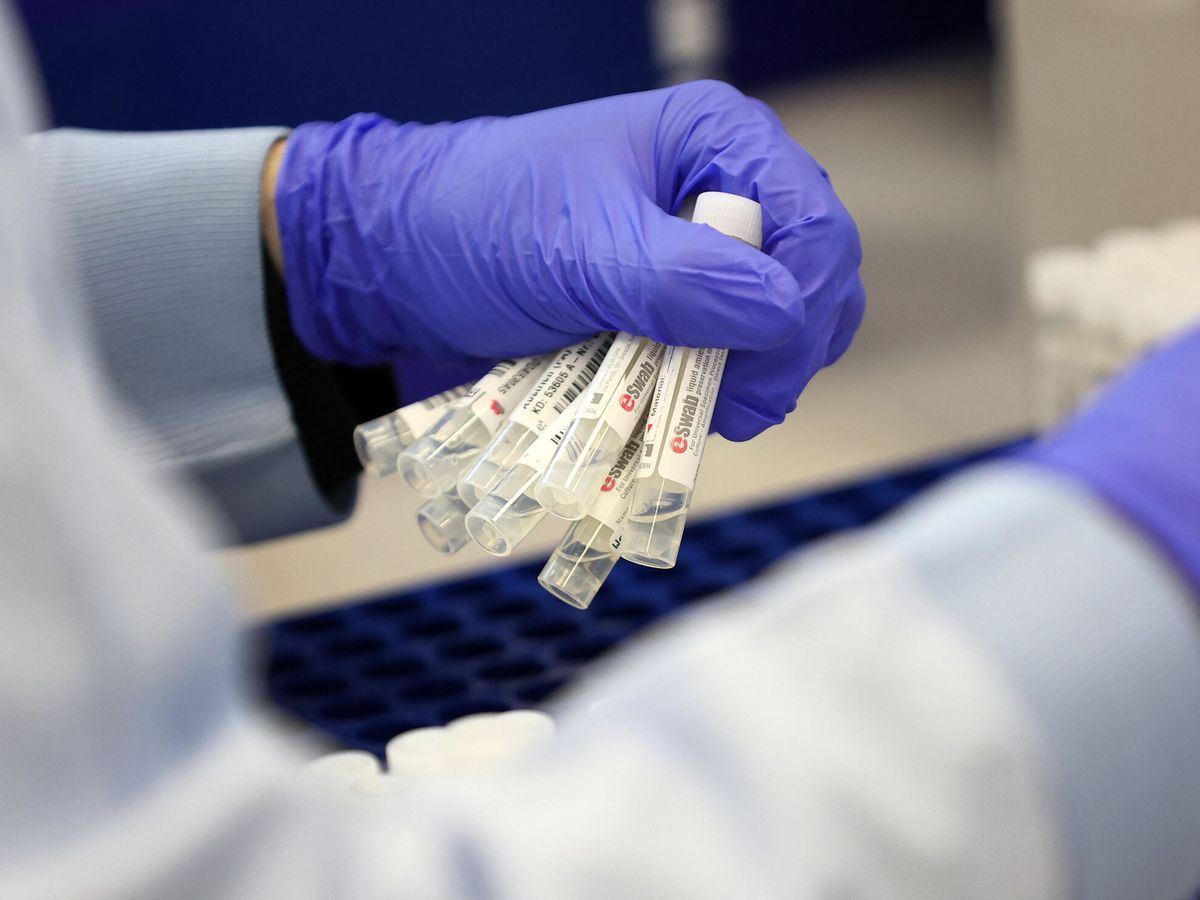 Foto: Un trabajador analiza el resultado de varias pruebas PCR. (Reuters)