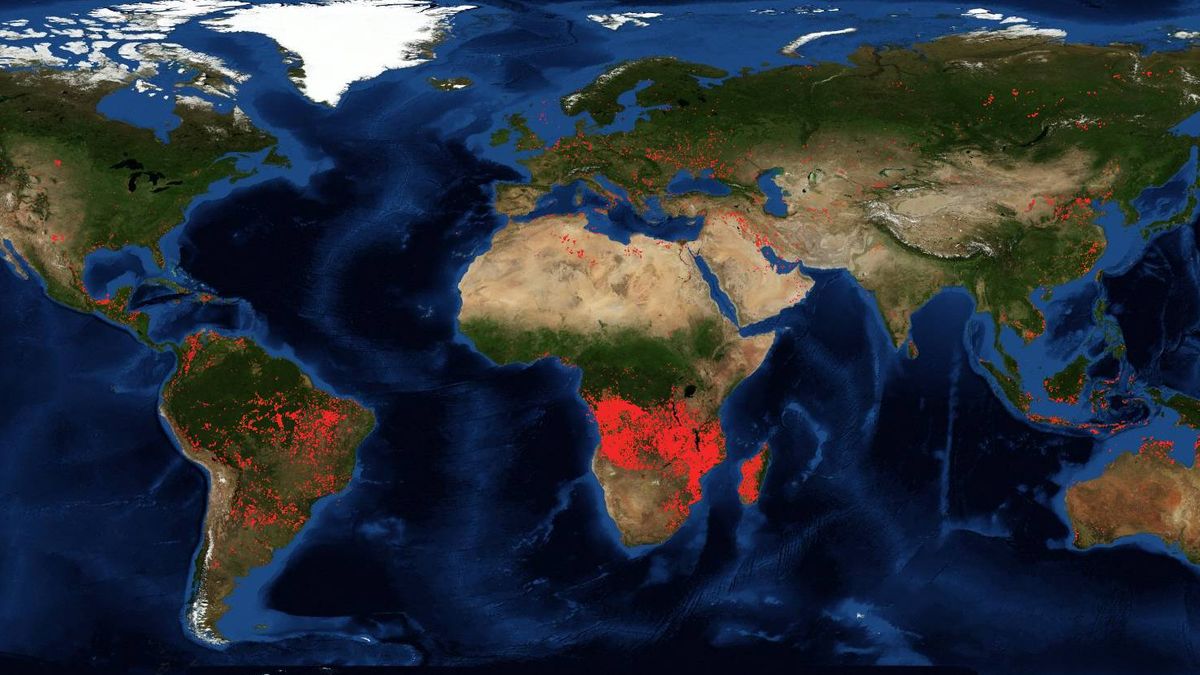 El 'pulmón' por el que nadie llora: por qué África preocupa menos que el Amazonas