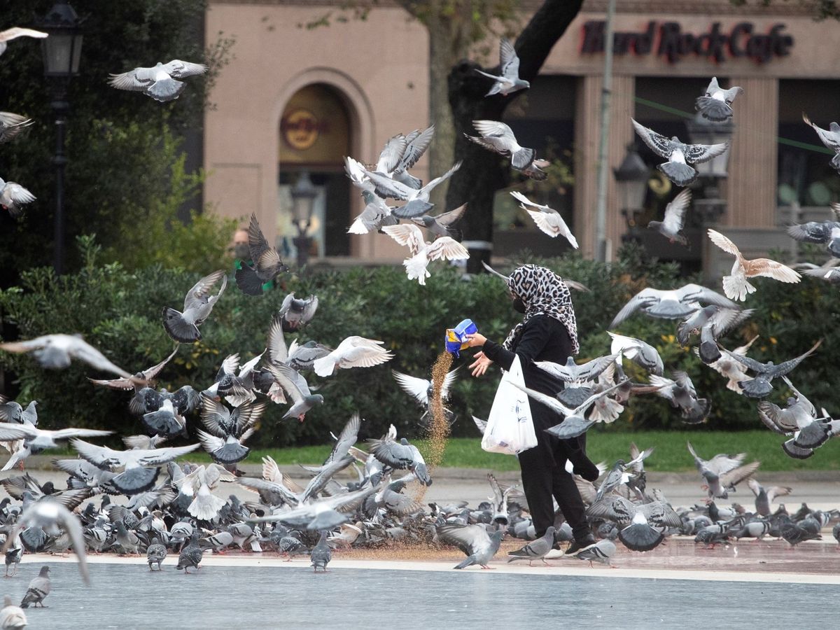 Foto: Una mujer alimenta palomas en el centro de Barcelona, este miércoles. (EFE)