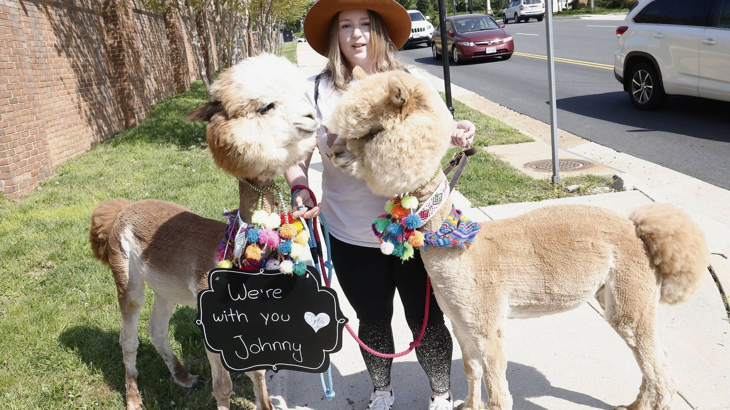 Una fan de Johnny Depp con sus alpacas a la entrada del tribunal. (Getty/Paul Morigi)