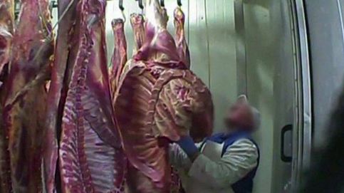En España hay más de 360 kg de la carne de Polonia en mal estado
