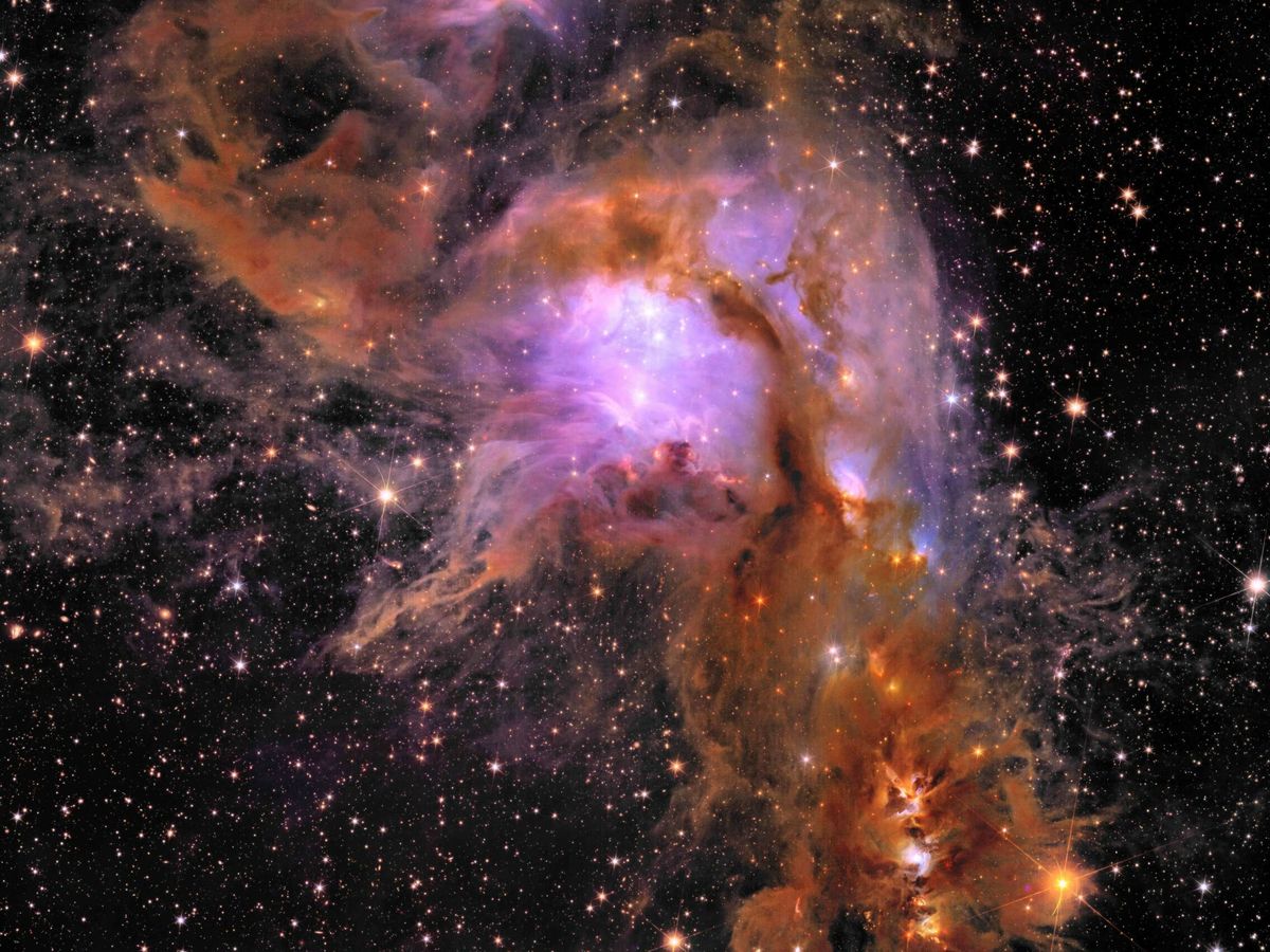Foto: El telescopio Euclid desvela detalles inéditos del universo a través de estas impresionantes imágenes.(Agencia Espacial Europea)