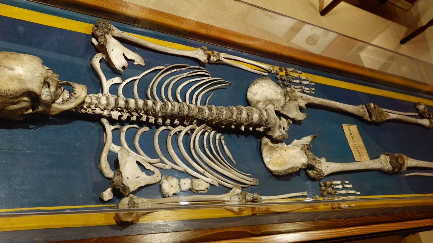 Los restos del Gigante de Badajoz reposan en el Museo Nacional de Antropología (Wikimedia Commons)