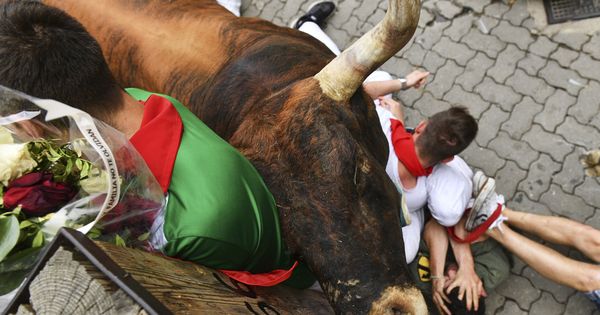 Foto: Un astado de la ganadería de Miura, de Lora del Río (Sevilla), protagoniza uno de los momentos más peligrosos de la carrera. (EFE)