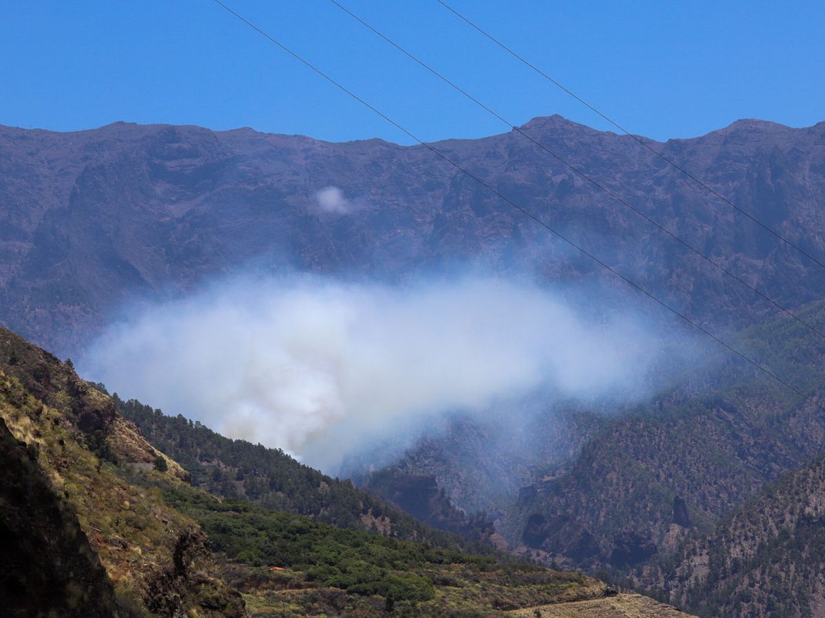 Foto: Imagen de un incendio forestal en archivo. (EFE/Luis G Morera)