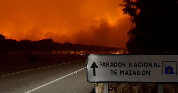 Foto: Incendio en el Parque Nacional de Doñana en junio de 2017. (EFE)