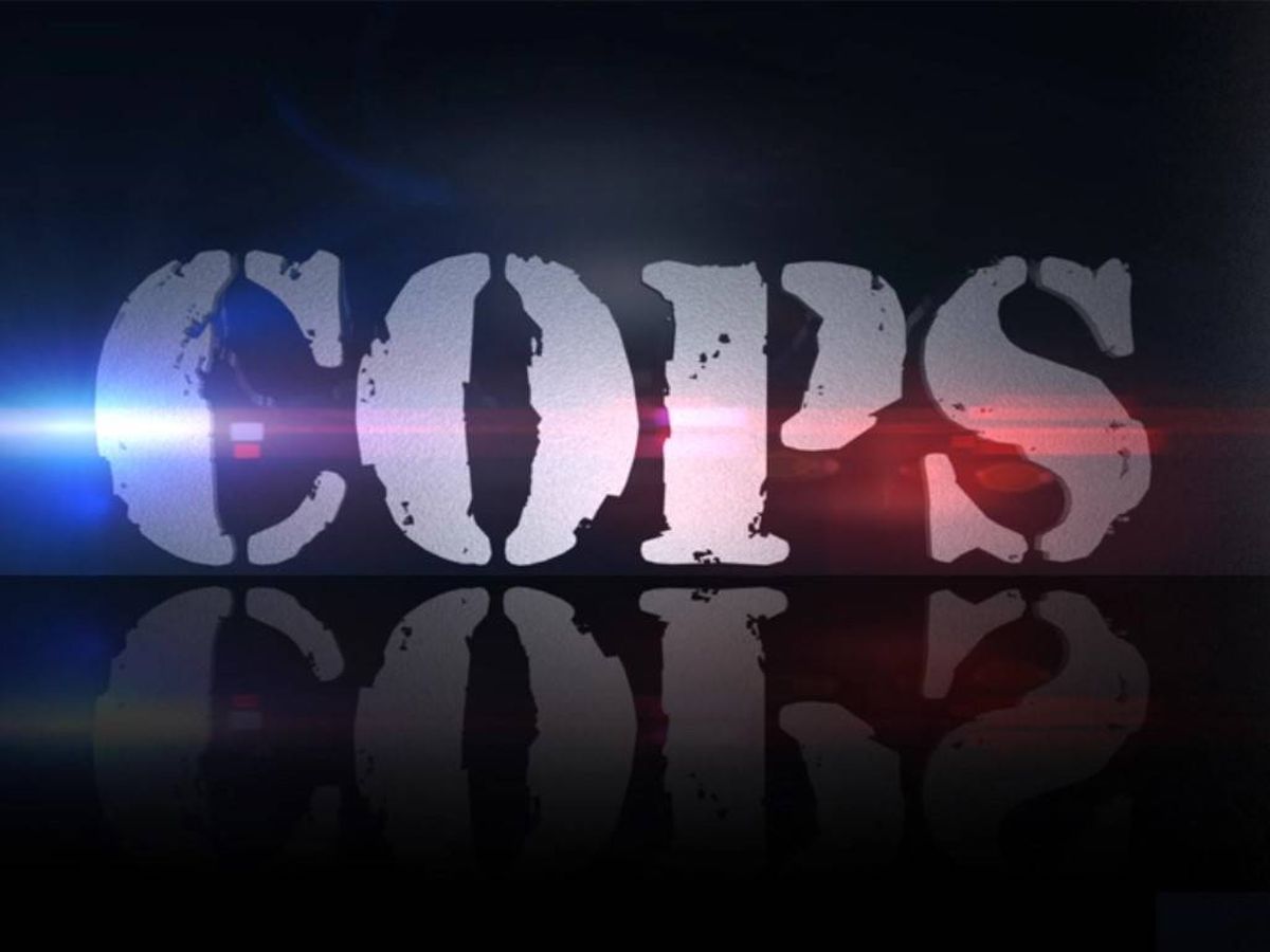Foto: Logotipo del programa 'Cops'. (Paramount)