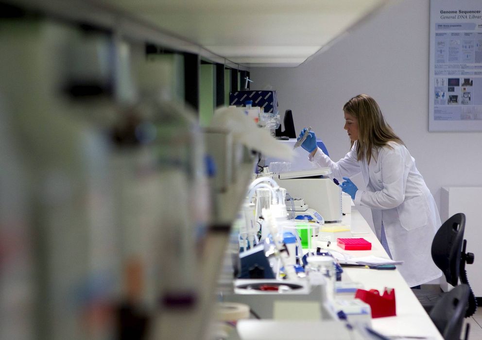 Foto: Una de las especialistas del Proyecto Genoma Médico trabaja en Parque Científico de la Cartuja en Sevilla. (EFE)