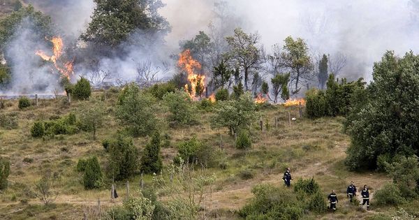 Foto: Foto de archivo de un incendio en una zona rural de Vitoria. (EFE)