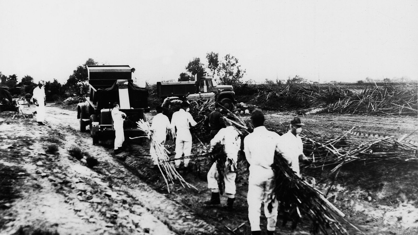 Foto: Soldados estadounidenses retiran las cosechas y tierras contaminadas en Palomares.