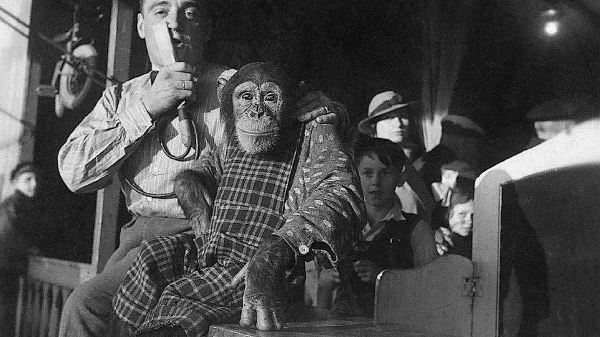 El chimpancé que hacía el saludo fascista y otros chistes del Tercer Reich
