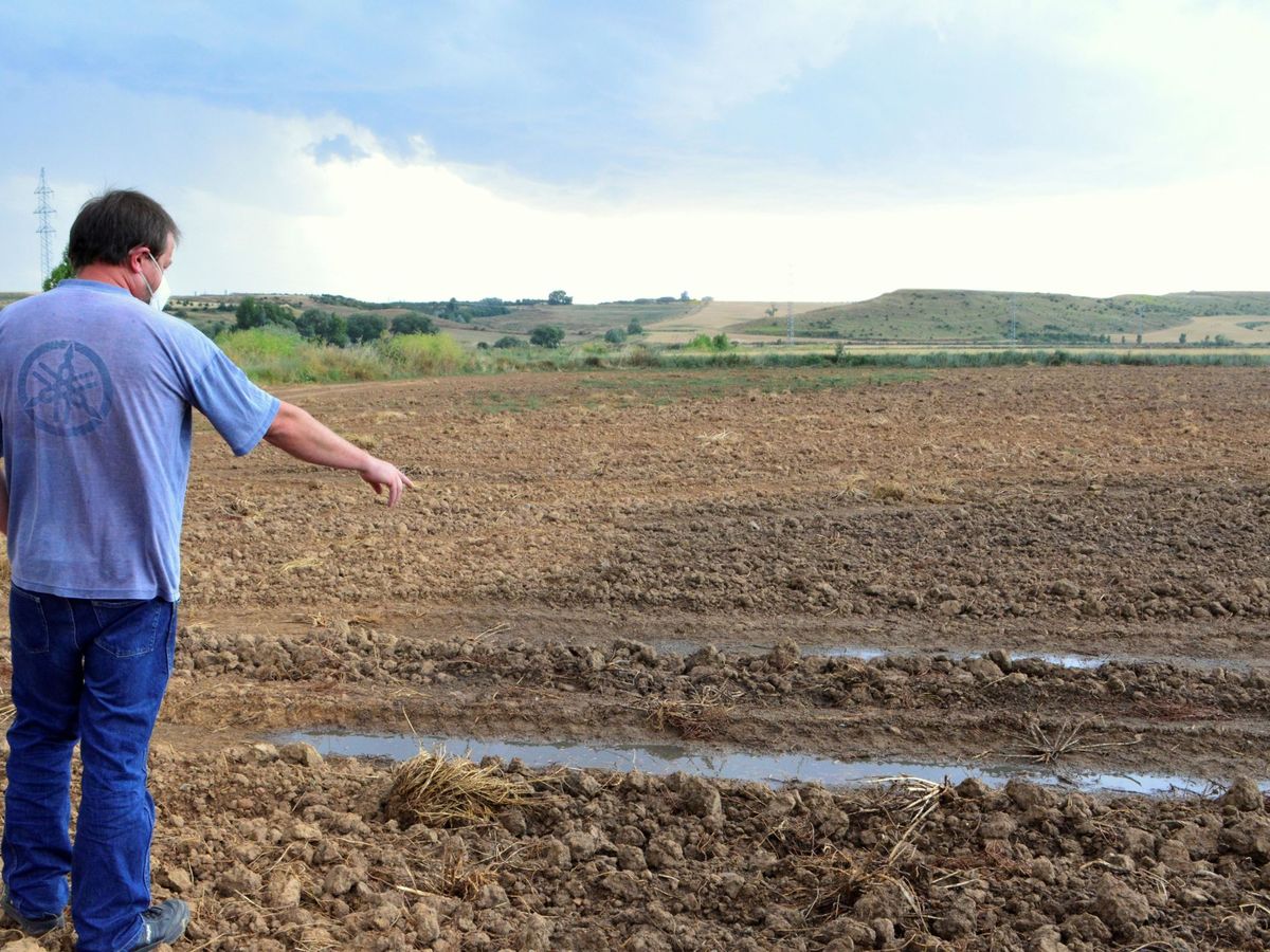 Foto: Un agricultor en la España vacía. (EFE)