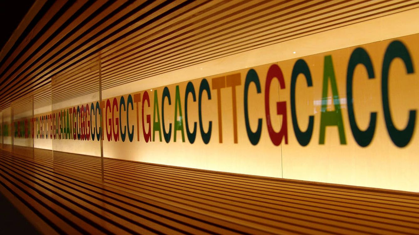 Entrevistas genéticas: las empresas revisarán tu ADN para decidir si te contratan