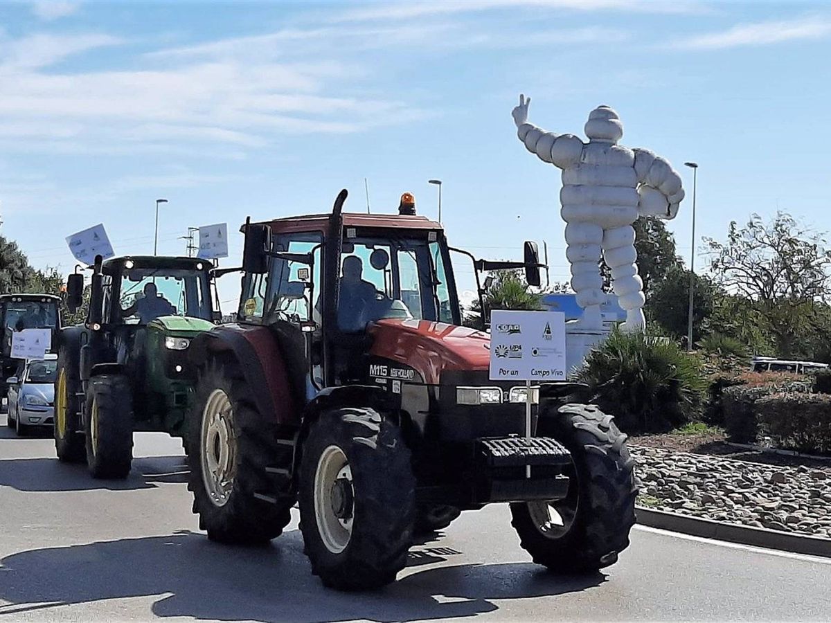 Foto: Un centenar de vehículos y tractores se manifiestan por Jerez contra el decreto de convergencia de la PAC