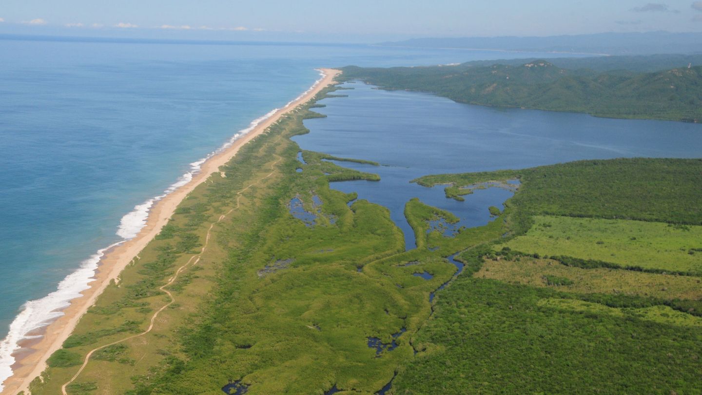 Los ecosistemas litorales también acumulan carbono. (EFE)