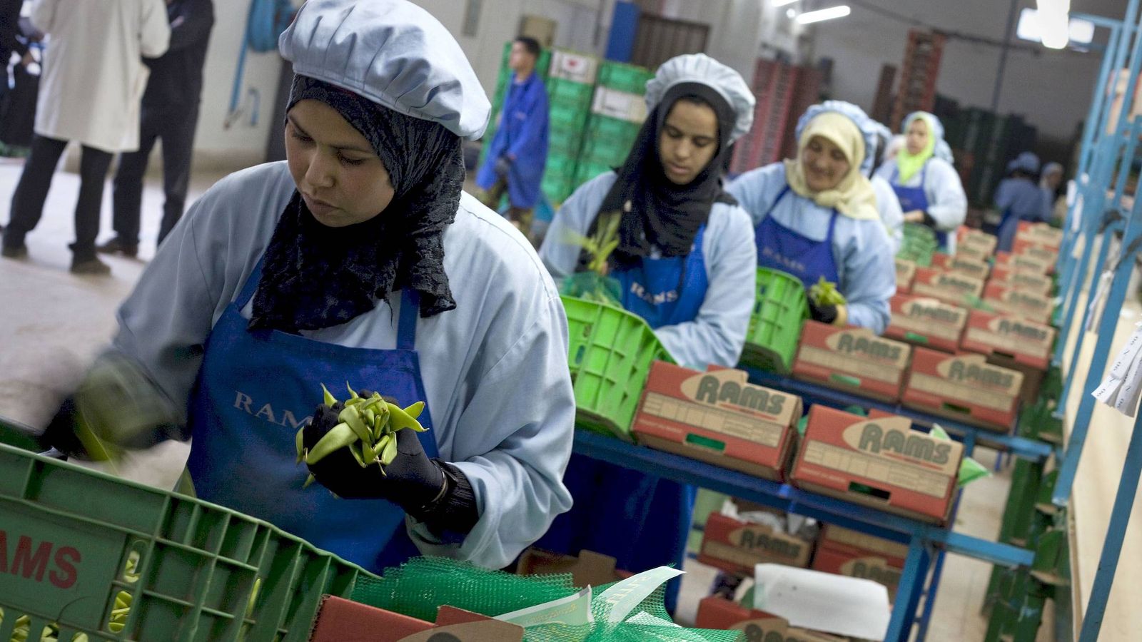 Mujeres marroquíes en 2009 trabajando seleccionando la judía en la planta de una de las empresas españolas afincadas en Agadir, al sur de Marruecos. (Foto: EFE)