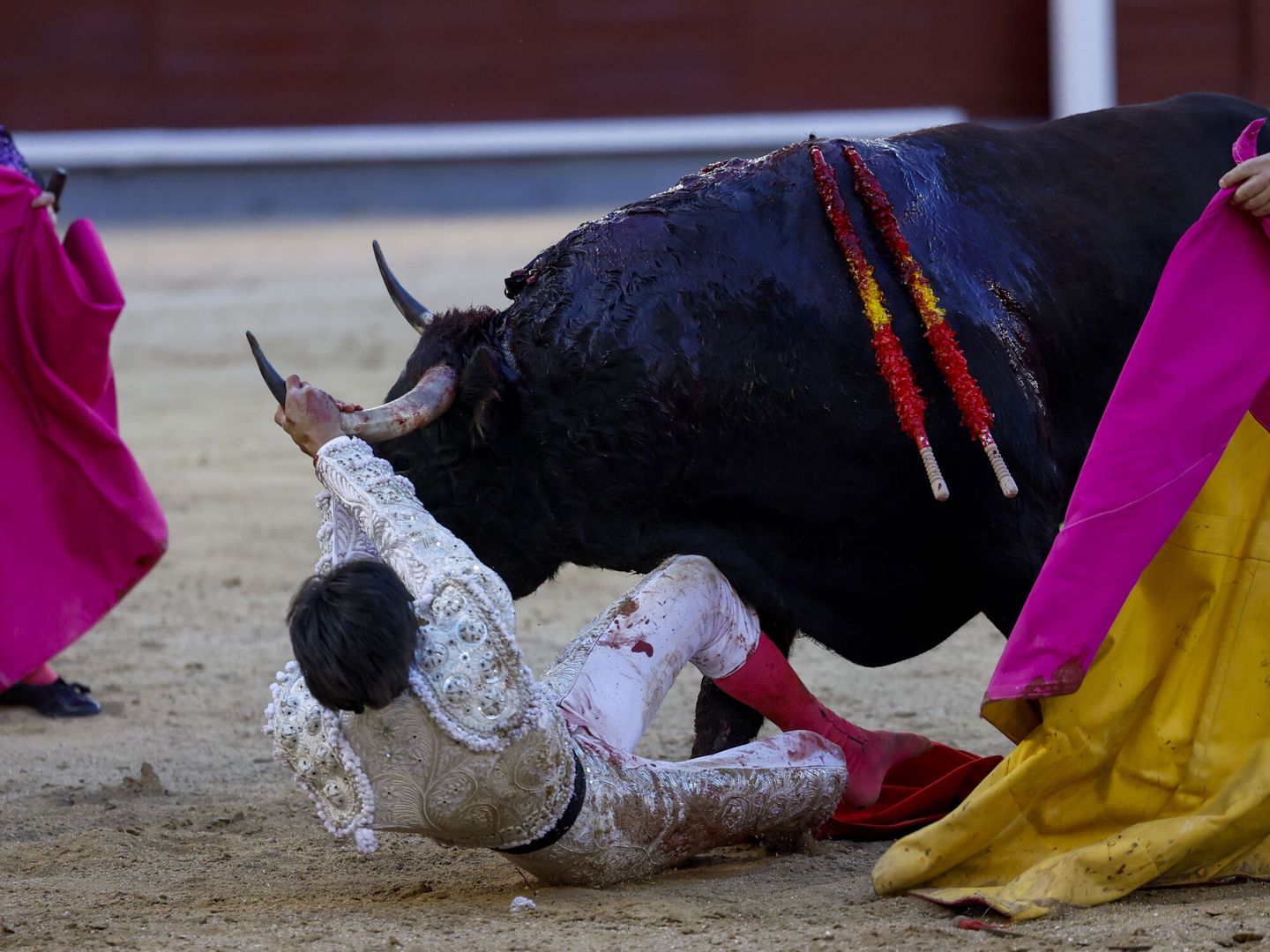 El diestro Ángel Téllez sufre una cogida con su segundo toro. (EFE/Mariscal)