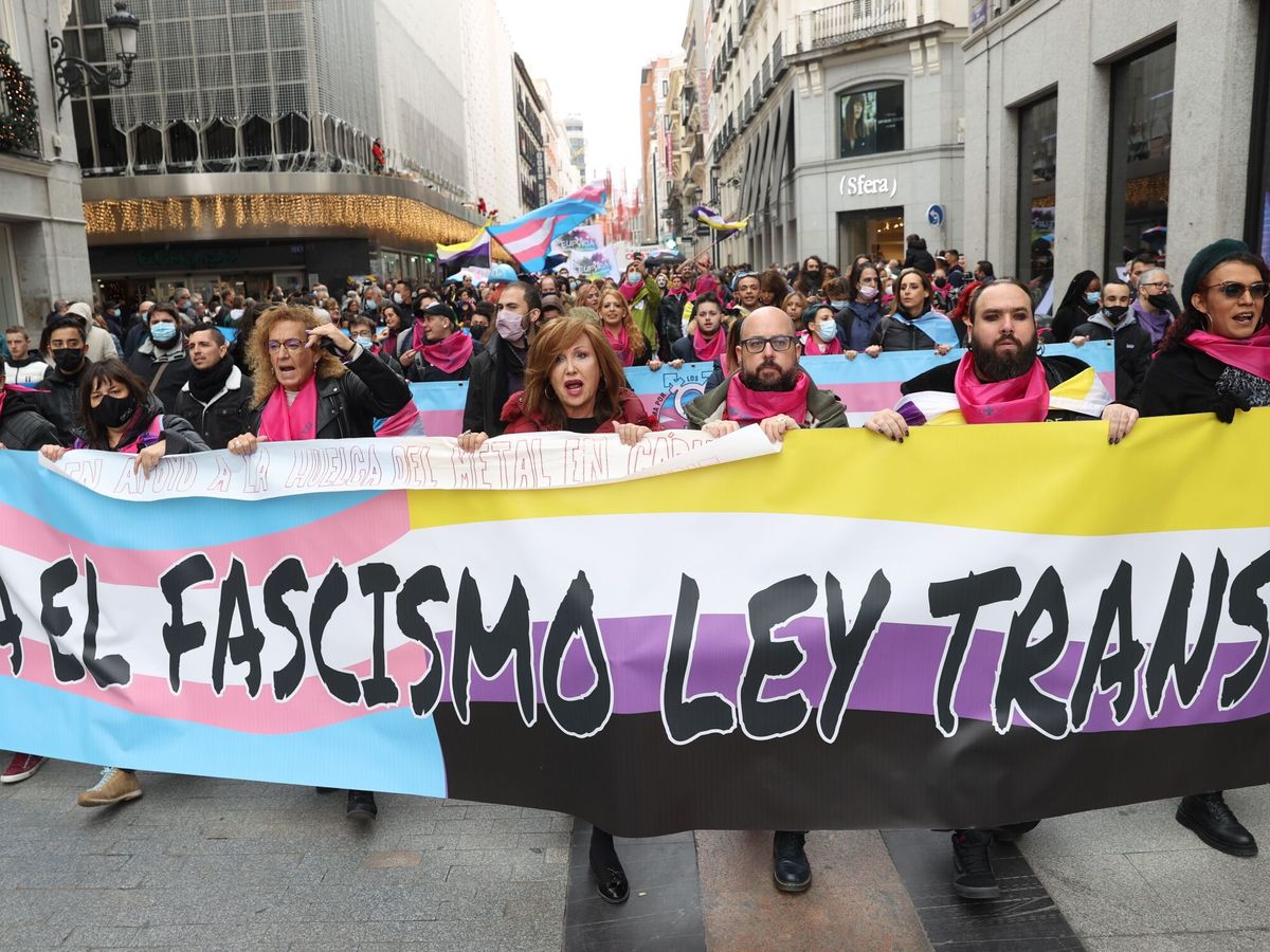 Foto: Manifestación en Madrid en 2021 a favor de la ley trans. (EFE/Kiko Huesca)
